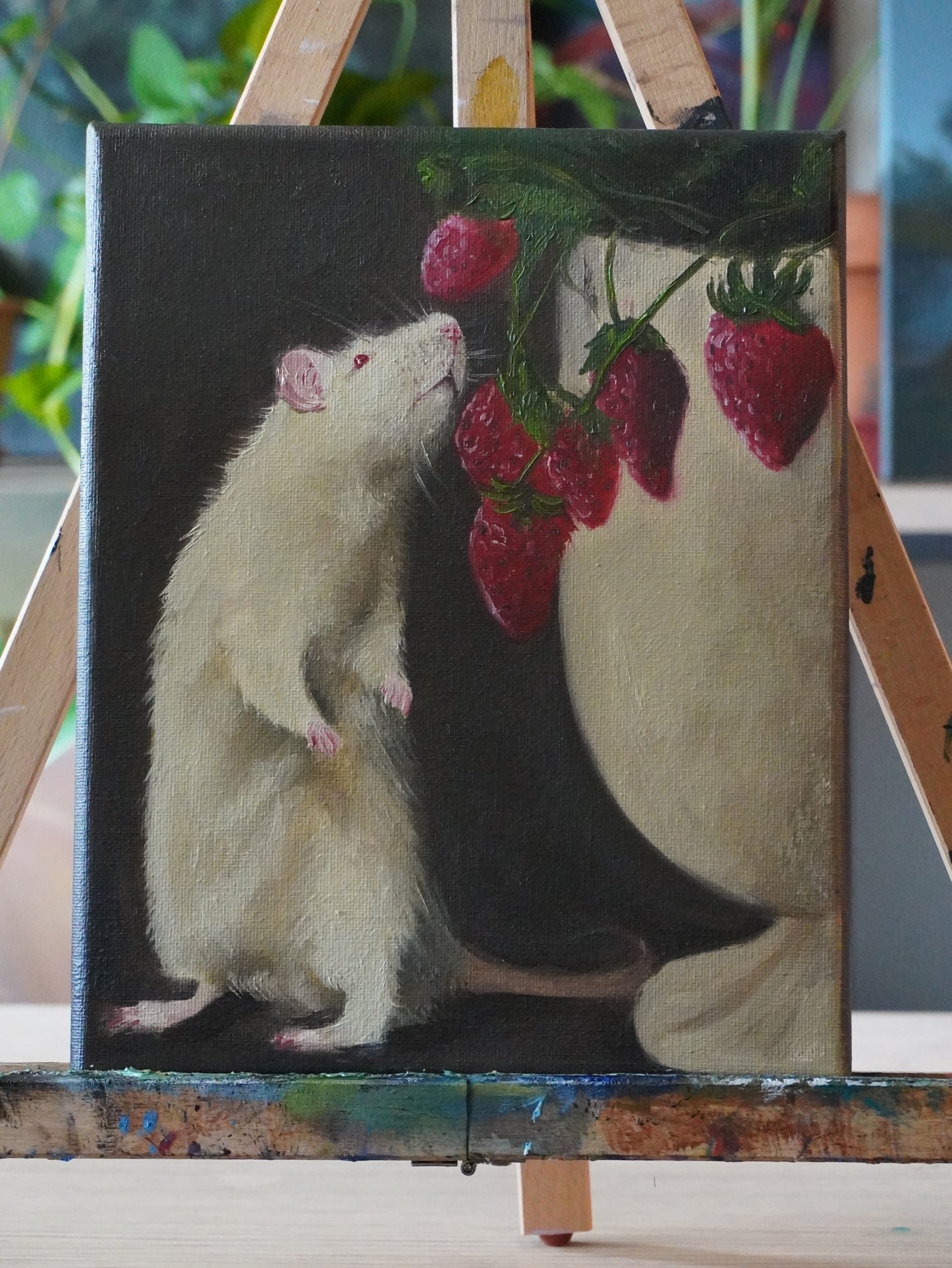 STRAWBERRY RAT