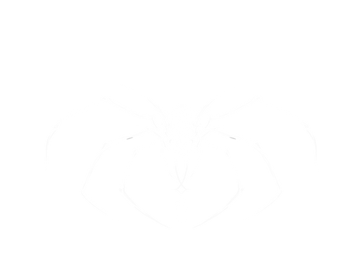 ANICETHETIC