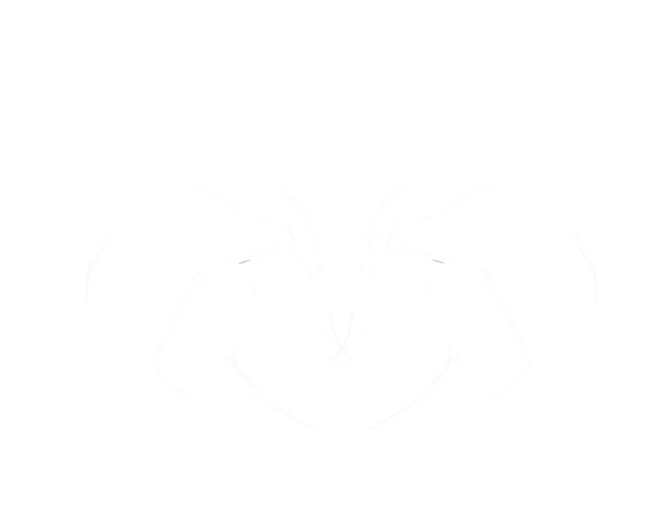 ANICETHETIC